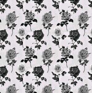 Meet your Posher, Arely